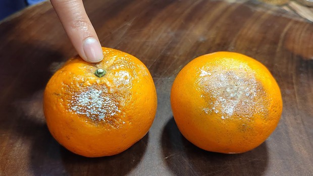 2 vợ chồng cùng mắc ung thư gan: Nguyên nhân đến từ loại trái cây độc gấp 68 lần asen mà họ thường ăn - Ảnh 2.