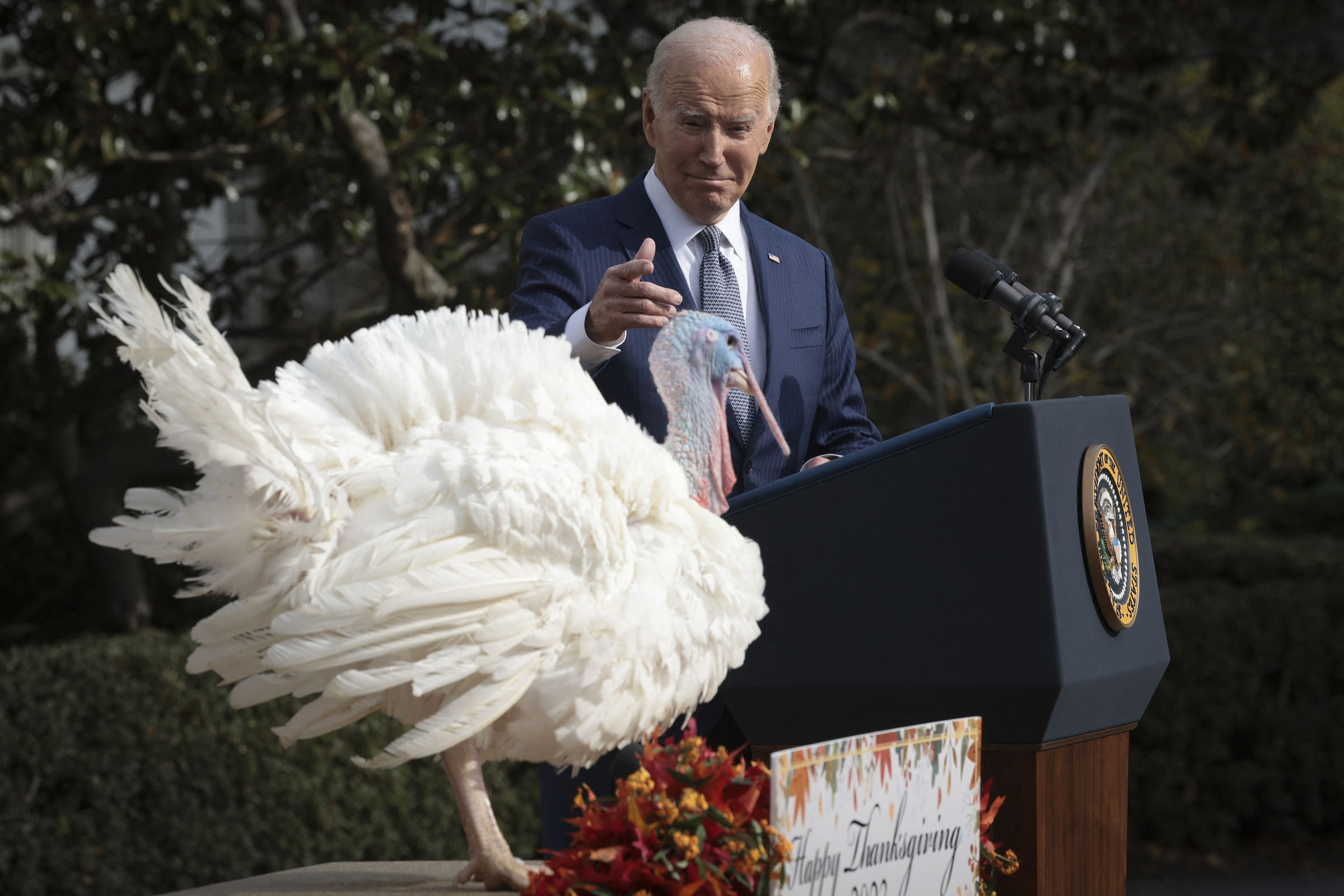 Tổng thống Mỹ Joe Biden ân xá cho gà tây tại buổi lễ ở Nhà Trắng ngày 20/11. Ảnh: AFP