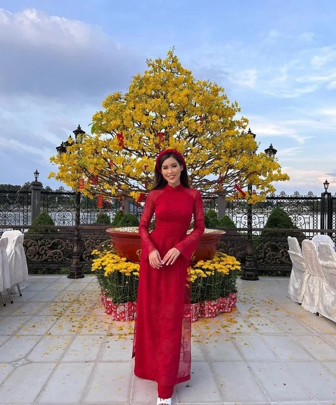 Toàn cảnh biệt thự 3 mặt tiền của gia đình tỷ phú Johnathan Hạnh Nguyễn - 9