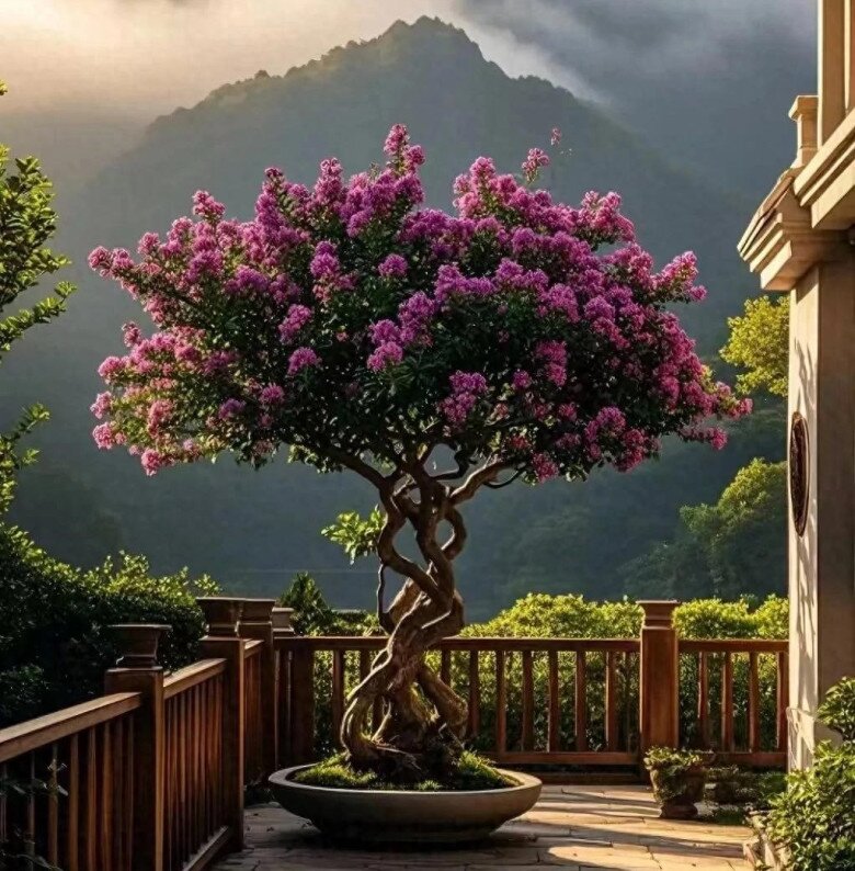 3 cây “trấn trạch” đẹp hơn trầu bà gấp 100 lần, trồng một cây con cháu đời đời hưởng phúc, gia đình bình an - 5