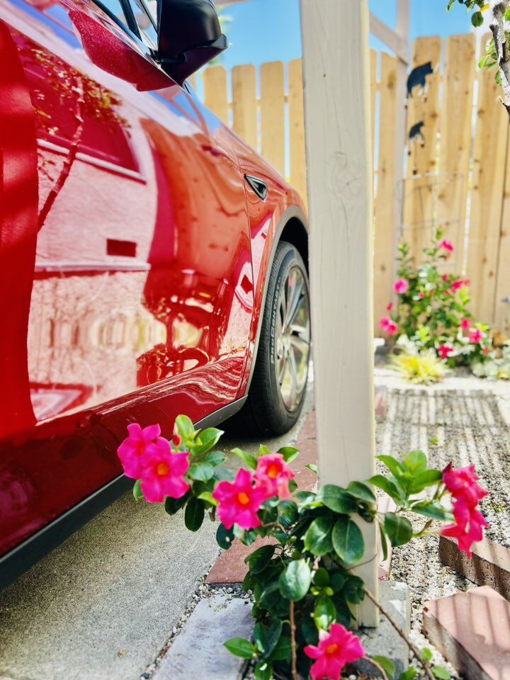 Khóm hoa dại màu hồng mọc sát cạnh chỗ để xe xe hơi. Dù là chỗ đỗ xe, Thúy Nga vẫn khéo léo cài cắm màu xanh vào từng góc nhỏ.