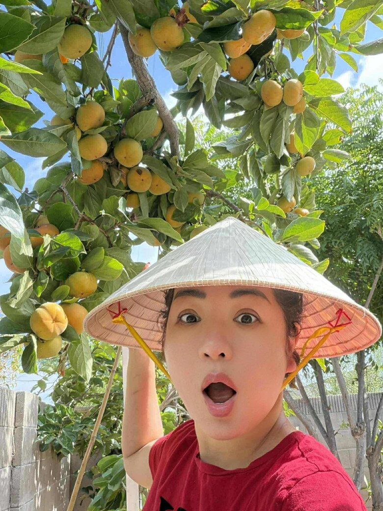 Nữ danh hài thích thú tạo dáng bên cây hồng trĩu quả. Gương mặt ngỡ ngàng, đáng yêu của cô khiến fan không khỏi bật cười: hồng không chỉ ngọt mà còn nhiều đến mức ngợp.