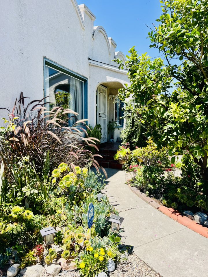 Vườn tuyệt đẹp trong biệt thự 30 tỷ của danh hài Thúy Nga: Ngập tràn sen đá, trái cây lúc lỉu trên đầu - 3