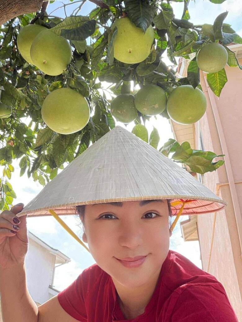 Cây bưởi to trồng trong sân nhà với những trái căng tròn, mọc sum suê từ gốc đến ngọn. Thúy Nga đội nón lá, tạo dáng ngay dưới tán cây, mang lại hình ảnh đầy chất quê giữa không gian hiện đại.