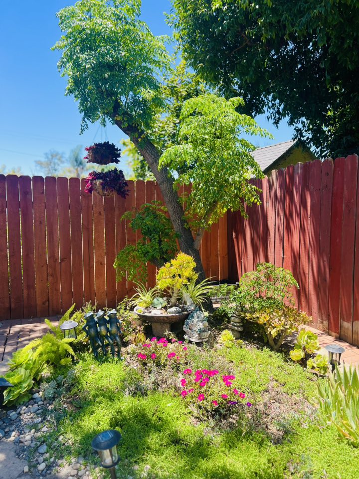 Khoảng sân nhỏ phía sau được Thúy Nga tận dụng thành khu vườn bonsai thu nhỏ, trồng đủ loại hoa cỏ xen kẽ. Đèn năng lượng mặt trời được gắn sát mép tường giúp thắp sáng khu vườn vào ban đêm.