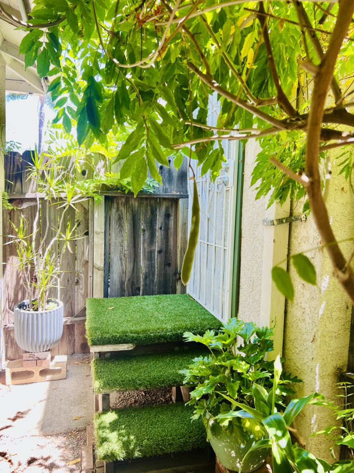 Một góc nhỏ phía sau nhà với bậc thang lót cỏ nhân tạo và cây xanh bao phủ, tạo cảm giác như lạc vào một khu vườn bí mật. Dây leo rủ xuống làm mềm không gian và tạo bóng mát tự nhiên.