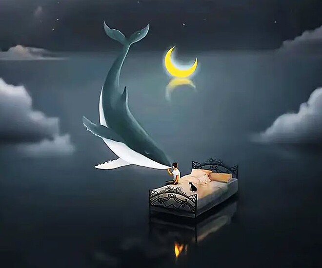 Trắc nghiệm tâm lý: Điều tốt đẹp bất ngờ nào sắp đến với bạn? - 1