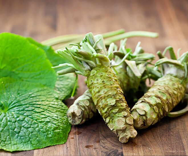 Wasabi là gia vị đắt đỏ có nguồn gốc từ Nhật Bản