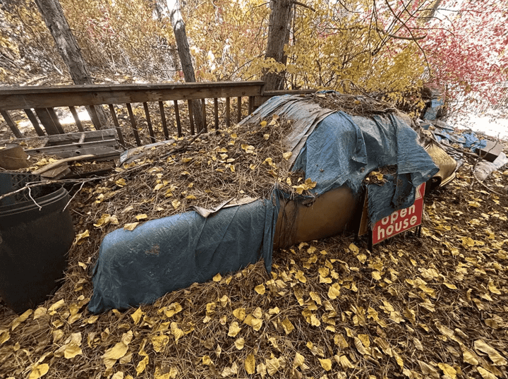 Chiếc Porsche 911 Targa cổ nằm trong rừng thông 31 năm bất ngờ được phát hiện- Ảnh 1.