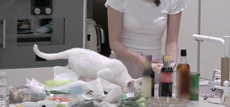 Tôn Di để mèo cưng ngang nhiên bước qua đồ ăn đang sơ chế.