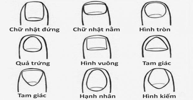 Dự đoán trí tuệ và đường công danh sự nghiệp qua hình dáng móng tay-1