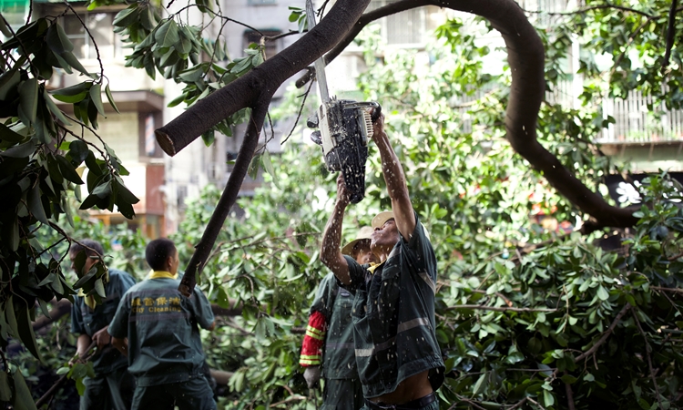 Công nhân môi trường cưa cây đổ sau trận bão Mangkhut đổ bộ vào thành phố Quảng Châu, tỉnh Quảng Đông, Trung Quốc, hồi tháng 9/2018. Ảnh: Reuters.
