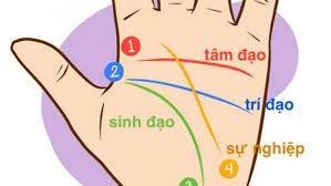 Lòng bàn tay có chữ M tài năng thiên bẩm, phú quý suốt đời-2