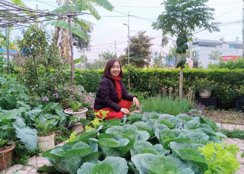 Cô giáo Bắc Giang làm vườn cực mát tay, trồng rau rau xanh mướt, trồng hoa hoa khoe sắc - 1