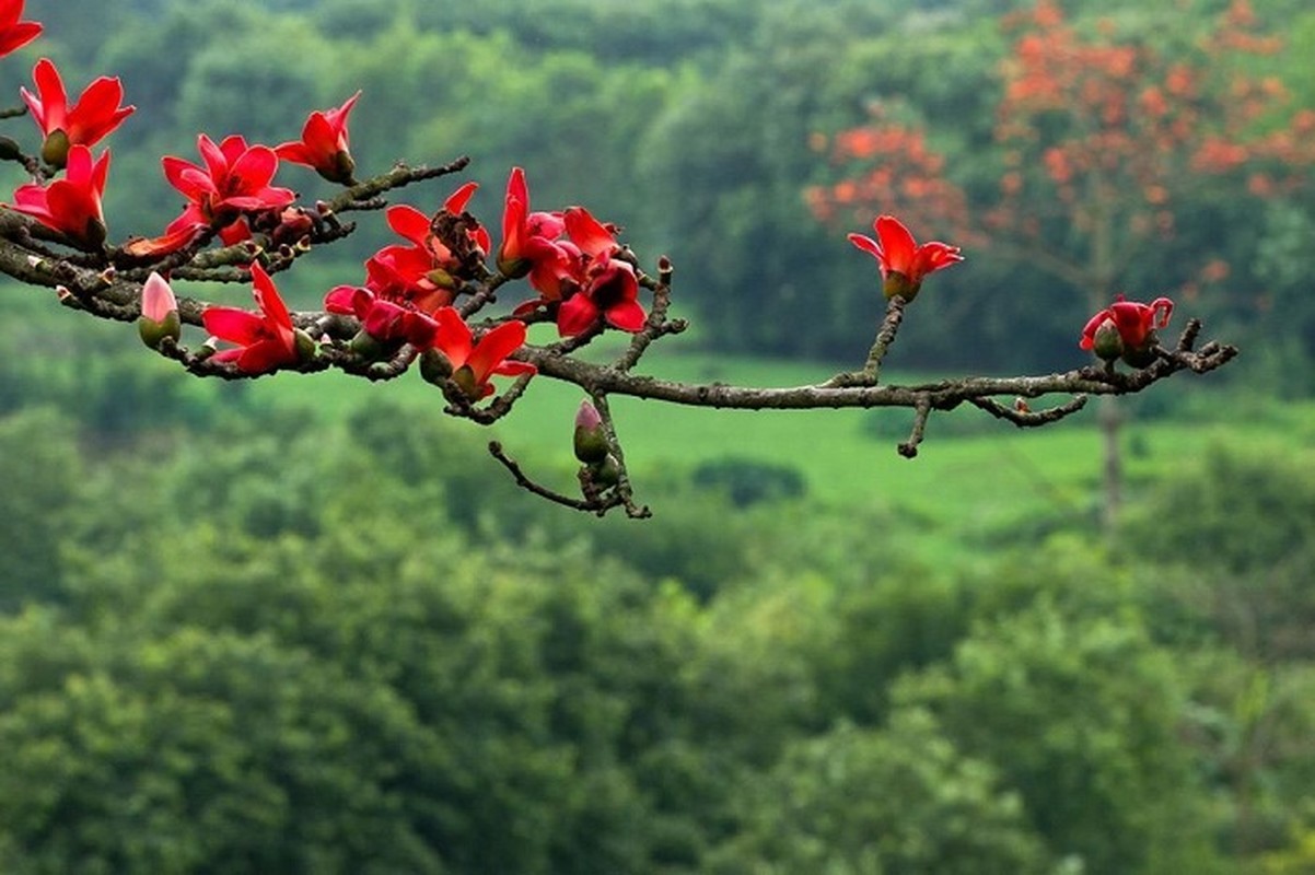 Xem thang sinh de doan menh phu nu, ai se giau sang phu quy?-Hinh-5