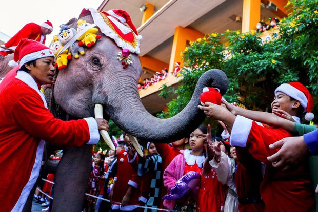 Rộn ràng Giáng sinh trên khắp thế giới: Đường phố sáng rực tạo nên không khí lễ hội đầy kỳ diệu và hy vọng - Ảnh 9.