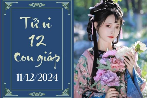 Tử vi 12 con giáp hôm nay ngày 11/12/2024: Sửu ổn định, Tỵ thuận lợi-1