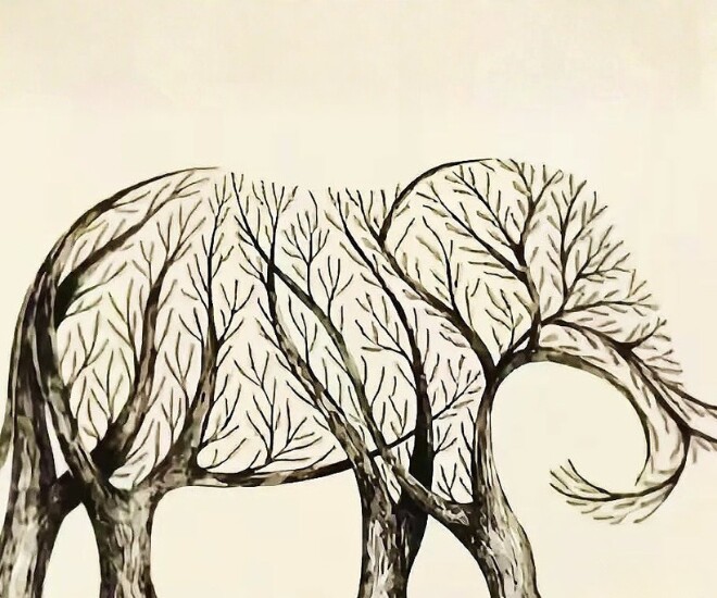 Trắc nghiệm tâm lý: Khi nào bạn sẽ gặp được quý nhân dẫn đường chỉ lối? - 1