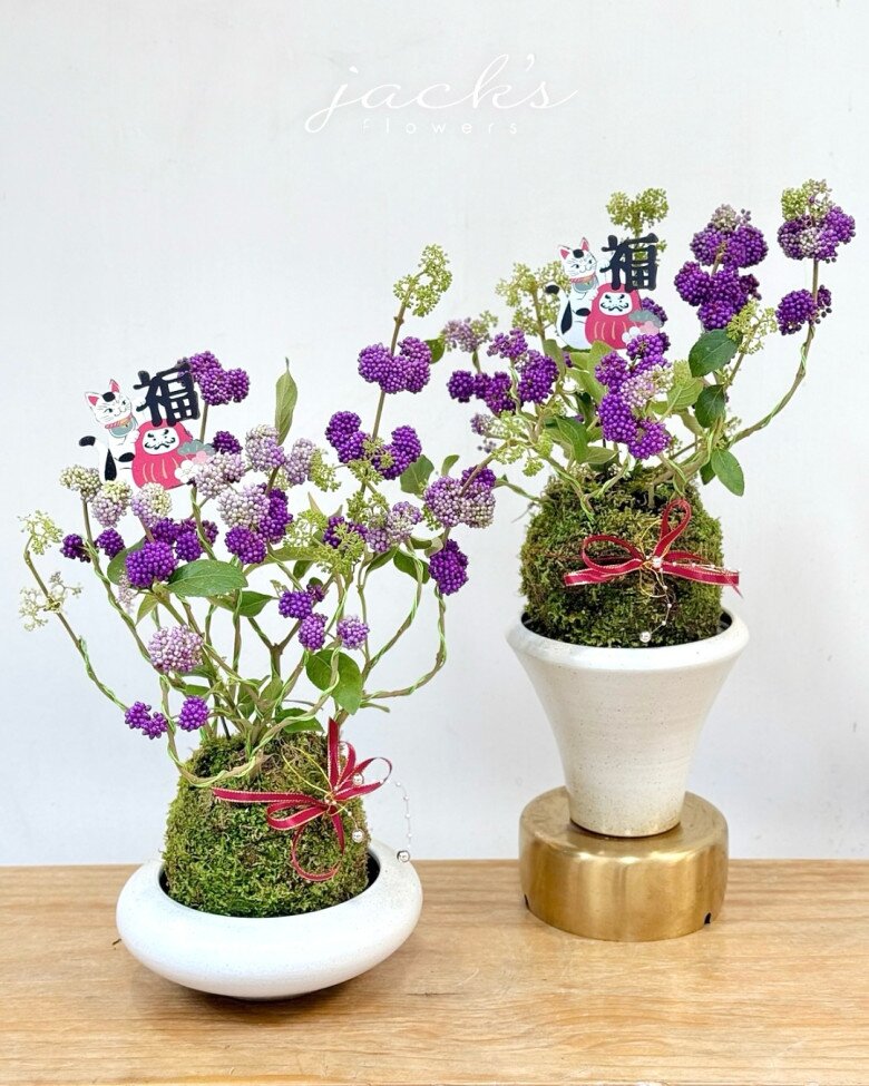 Cây cảnh hút lộc đẹp không tì vết, như chuỗi ngọc tím, mua một chậu chơi đến hết Tết chưa tàn - 4