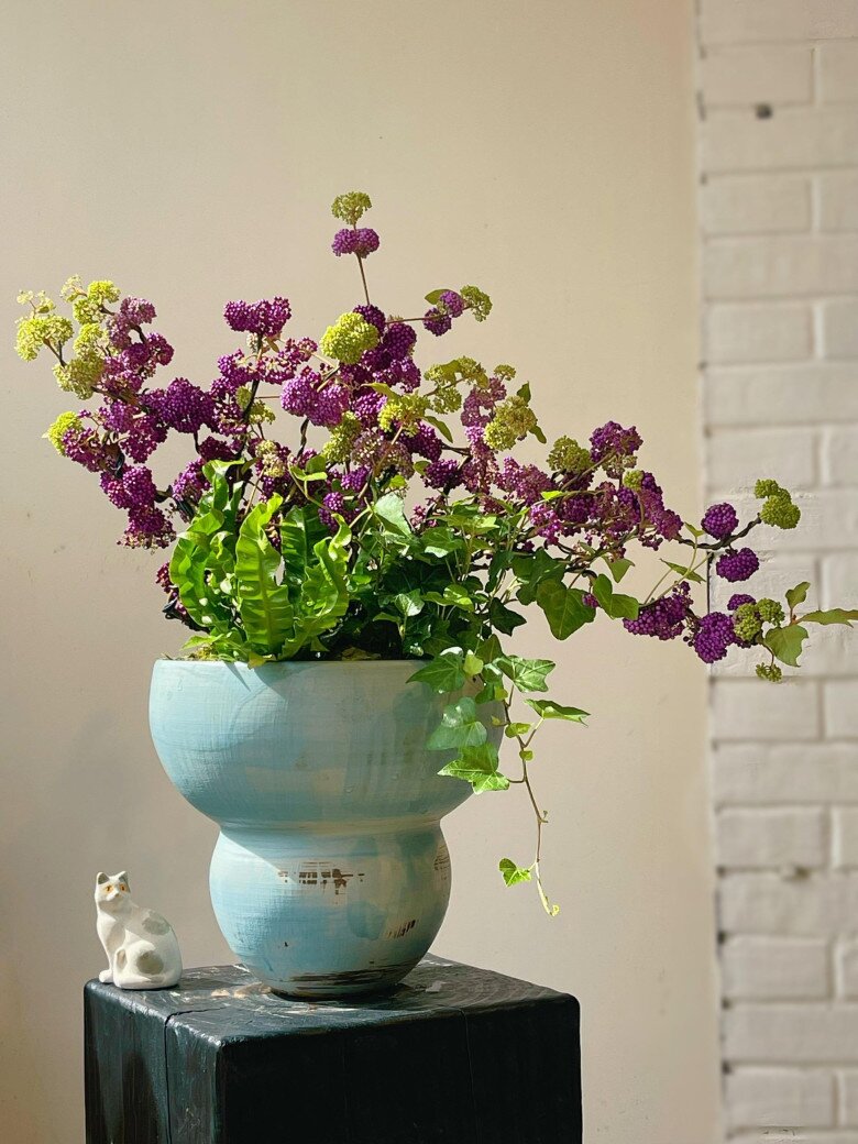 Cây cảnh hút lộc đẹp không tì vết, như chuỗi ngọc tím, mua một chậu chơi đến hết Tết chưa tàn - 7