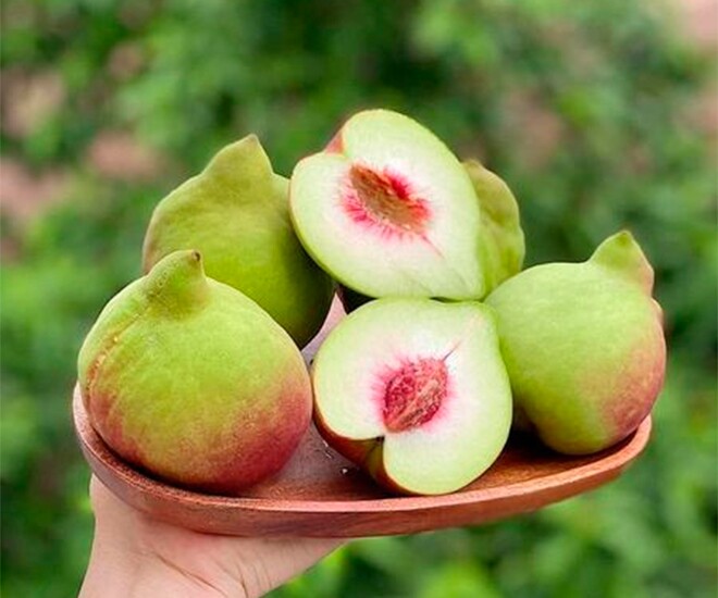 Loại quả được đánh giá amp;#34;tốt nhất thế giớiamp;#34;, ở Việt Nam trồng bạt ngàn giá chỉ từ 12.000 đồng/kg, tốt cho sức khoẻ - 1