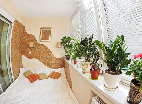 Đặt cây ở những nơi có ánh sáng nhẹ nhàng, tránh để cây gần giường để không khí trong phòng không bị quá ẩm ướt hoặc ảnh hưởng đến giấc ngủ.