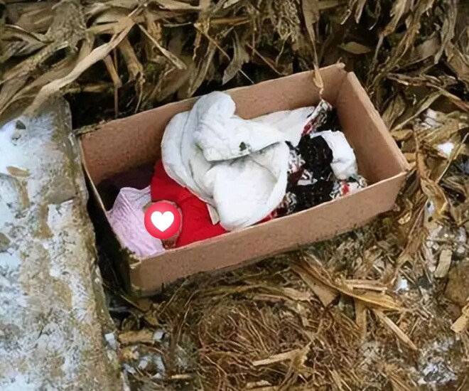 Đứa trẻ sinh non bị bỏ rơi sau khi chào đời, được gia đình tốt bụng mang về nuôi - Ảnh minh hoạ.