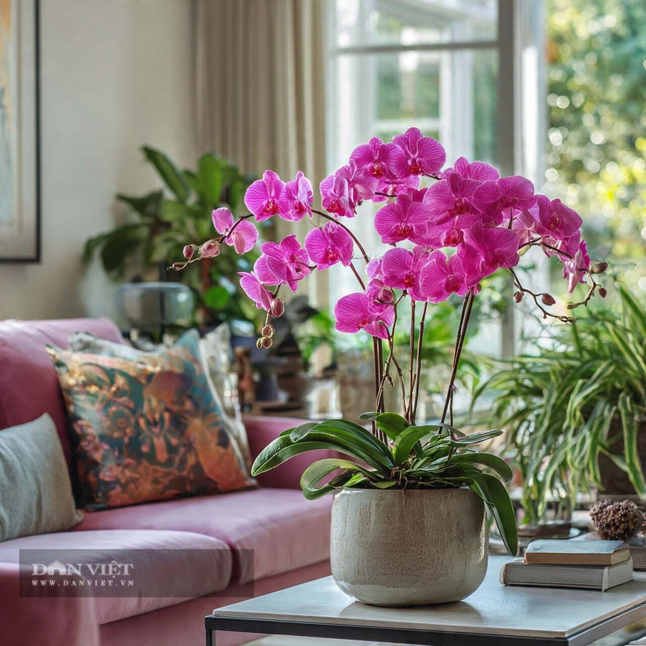 Cây cảnh này tượng trưng cho sự giàu có và thanh lịch