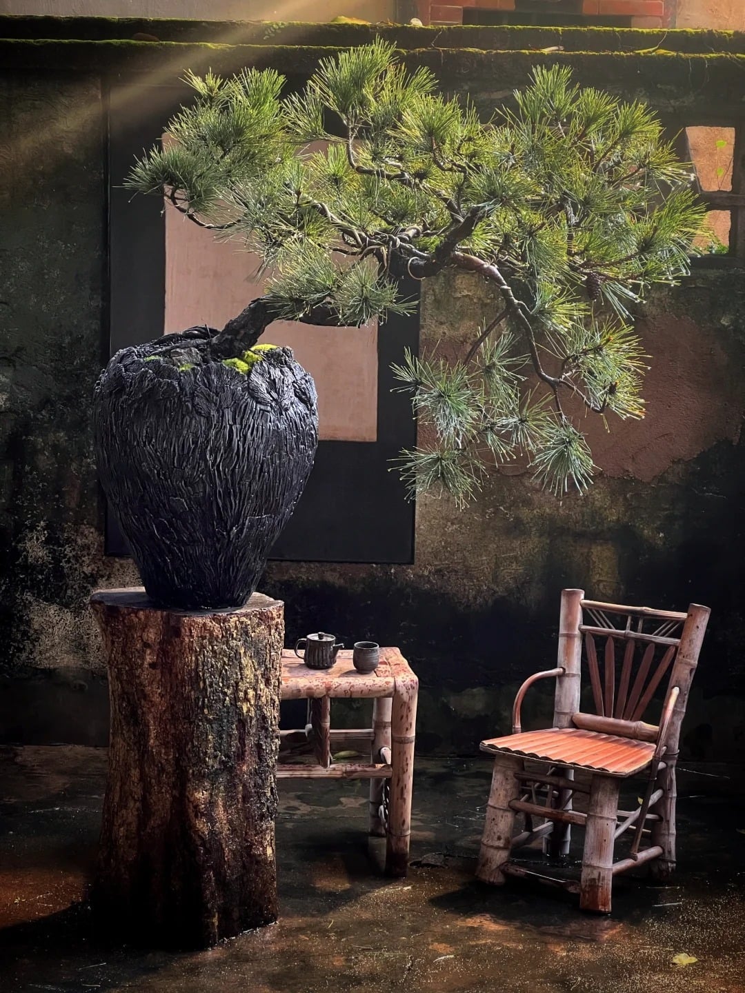 Người giàu yêu thích cây cảnh không chỉ để trang trí. Ảnh minh họa Toutiao