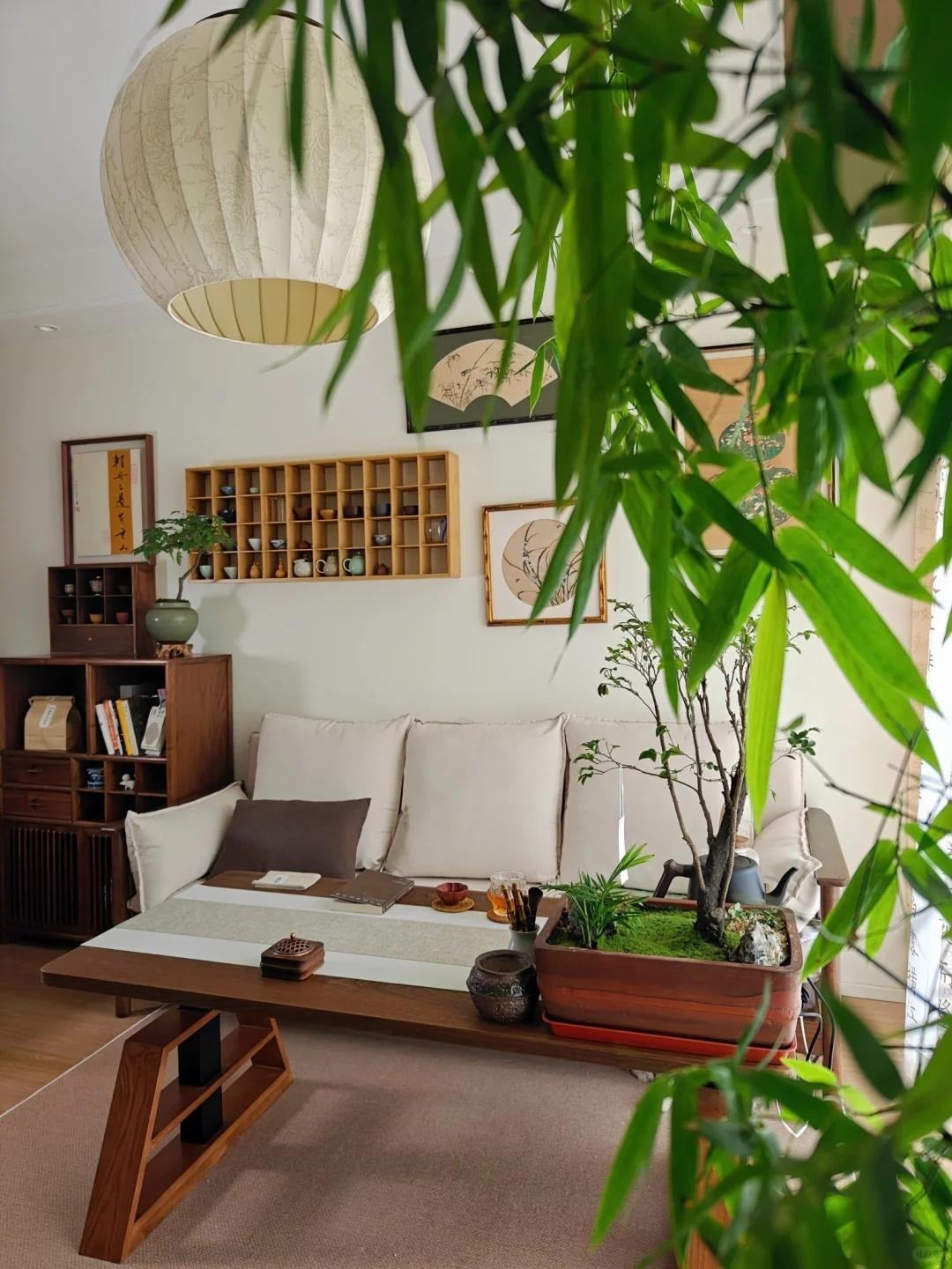 Cây cảnh cần đủ chất dinh dưỡng để phát triển. Ảnh minh họa Toutiao