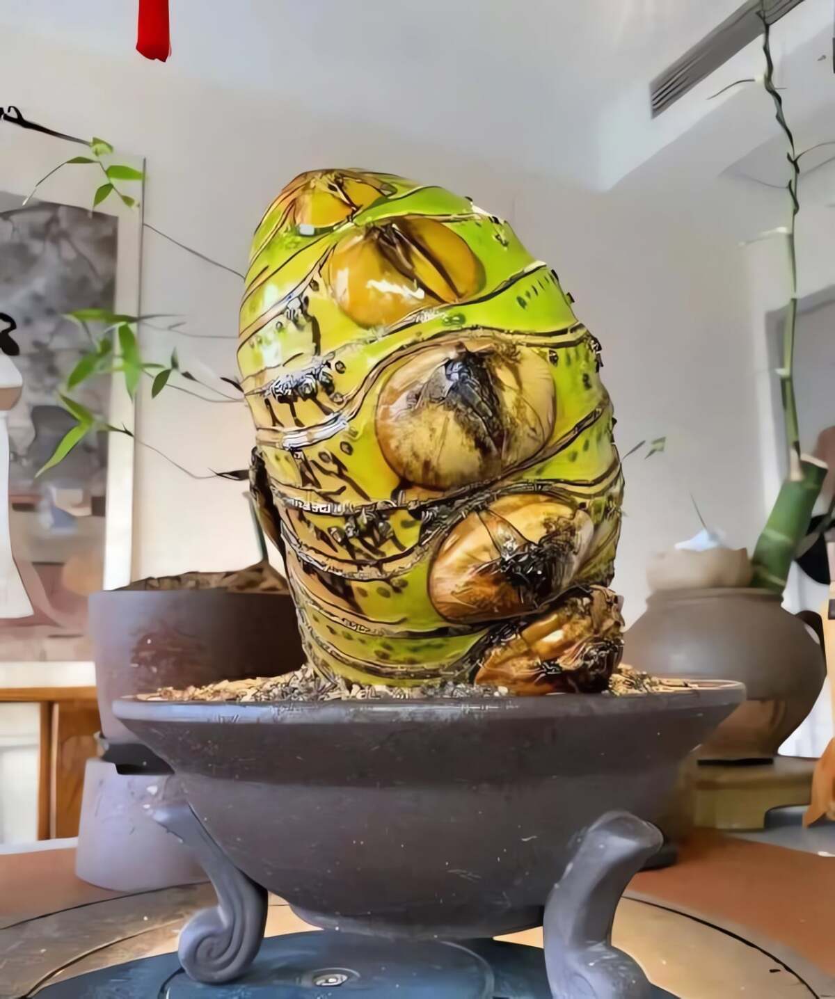 Như con sâu khổng lồ. Ảnh minh họa Toutiao