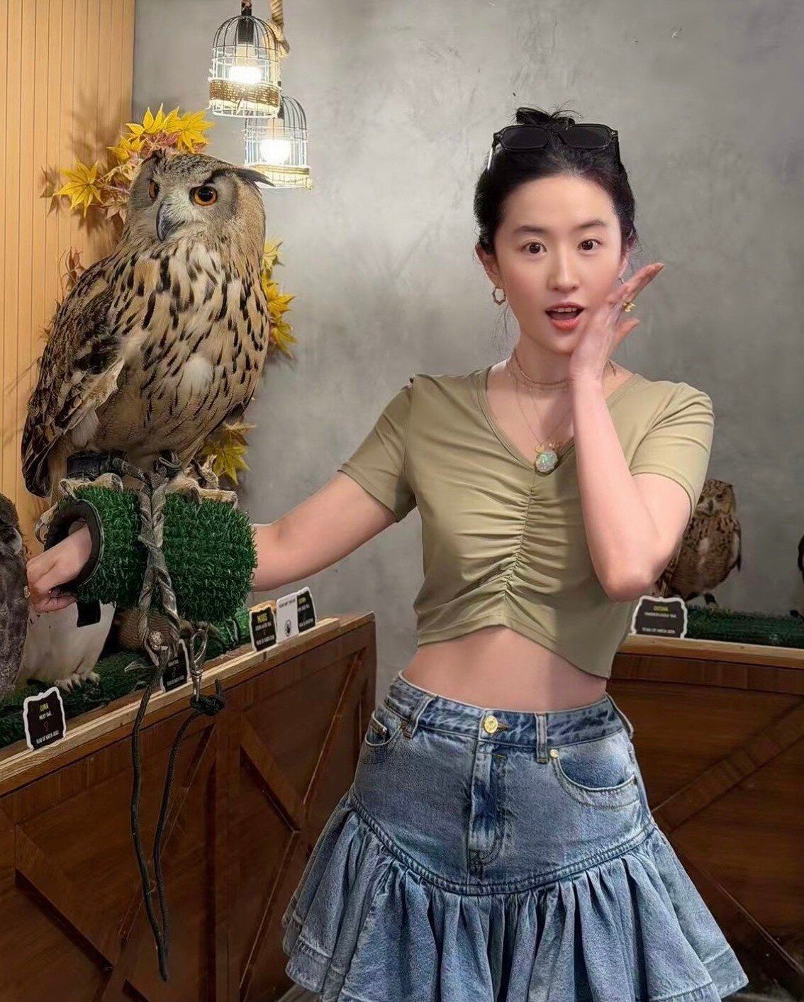 Lưu Diệc Phi bị chế giễu - 1