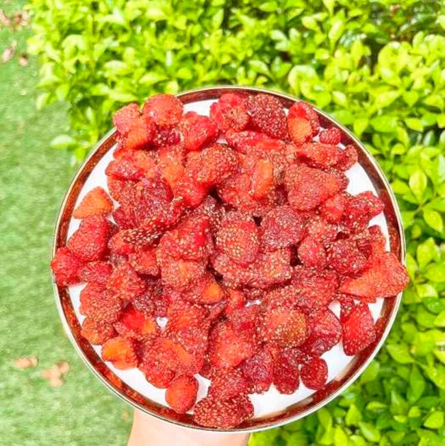 Loại quả amp;#34;tốt nhất thế giớiamp;#34; Việt Nam trồng bạt ngàn, thành đặc sản nổi tiếng được ưa chuộng, tốt cho sức khỏe - 3