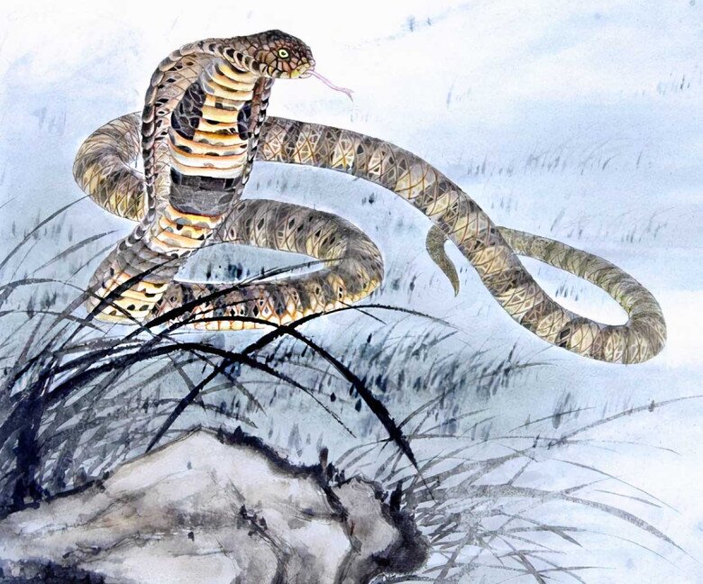 4 con giáp vận may rực rỡ, trí tuệ hơn người, khởi sắc từ tháng 1 - 2