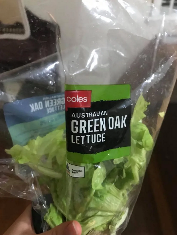 The bag of Coles lettuce. Source: Jam Press/Australscope