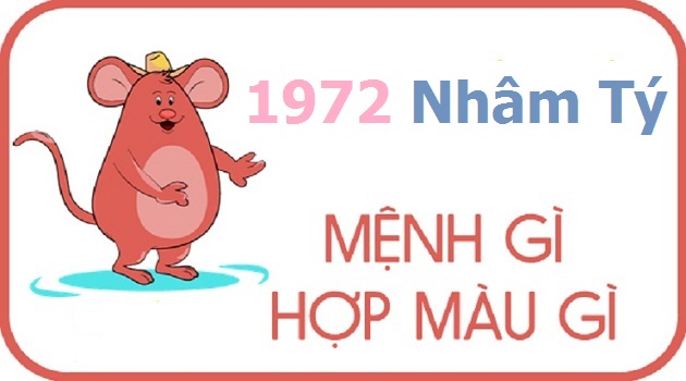 Tuổi Nhâm Tý 1972 chọn màu nào để thu hút tài lộc, gặp nhiều may mắn năm  Nhâm Dần 2022? | Tử vi