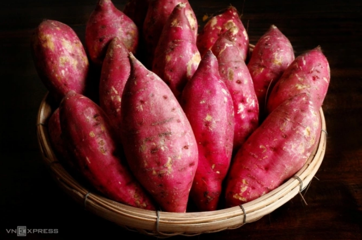 Để khoai héo nhằm tích đường ngọt hơn. Ảnh: Bùi Thủy