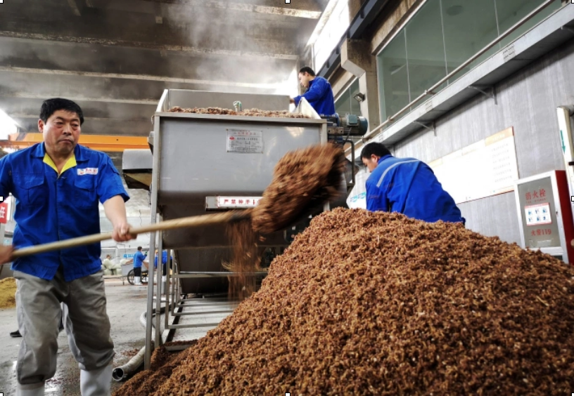 Công nhân xúc cao lương vào máy chế biến để làm rượu tại một nhà máy ở Tân Châu, Sơn Đông, Trung Quốc ngày 21/10/2018. Ảnh: Reuters