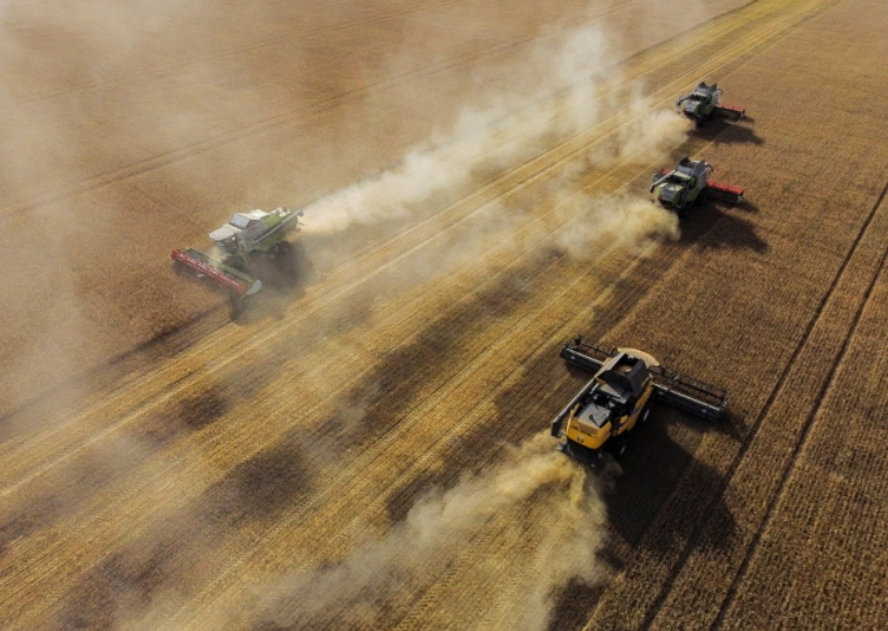 Thu hoạch lúa mì ở quận Cherlaksky, Omsk, Nga ngày 8/9/2023. Reuters