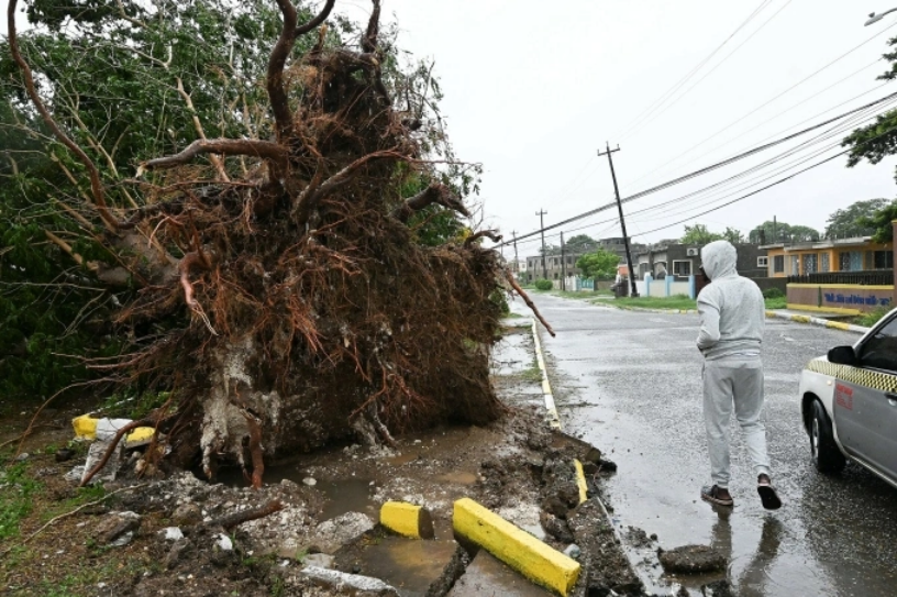 Cây đổ trên đường phố ở St. Catherine, Jamaica ngay trước khi bão Melissa đổ bộ. Ảnh: AFP