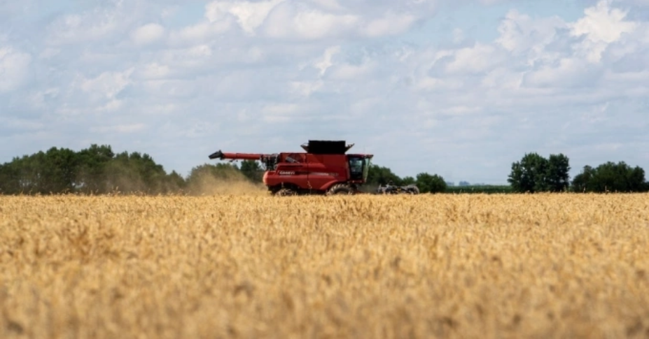 Lúa mỳ đang được thu hoạch tại Oklahoma (Mỹ). Ảnh: Reuters