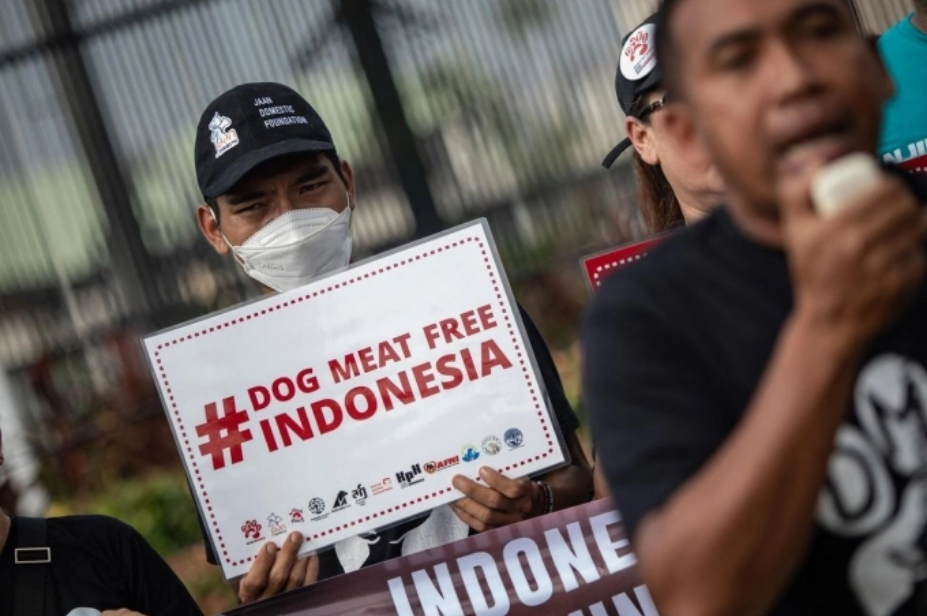 Các nhà hoạt động vì quyền động vật tổ chức biểu tình Indonesia không thịt chó trước tòa nhà thị chính ở Jakarta, tháng 2/2024. Ảnh: AFP