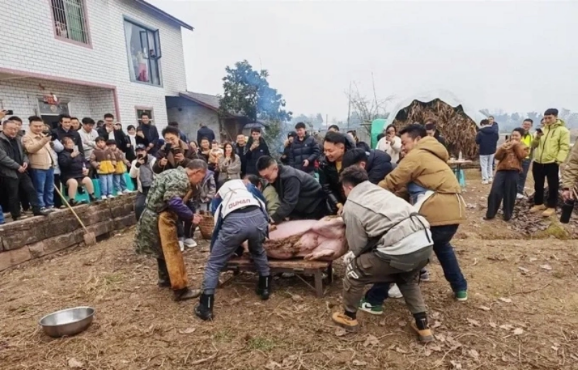 Tiệc mổ lợn ở nhà Daidai tại Trùng Khánh. Ảnh: Word Journal