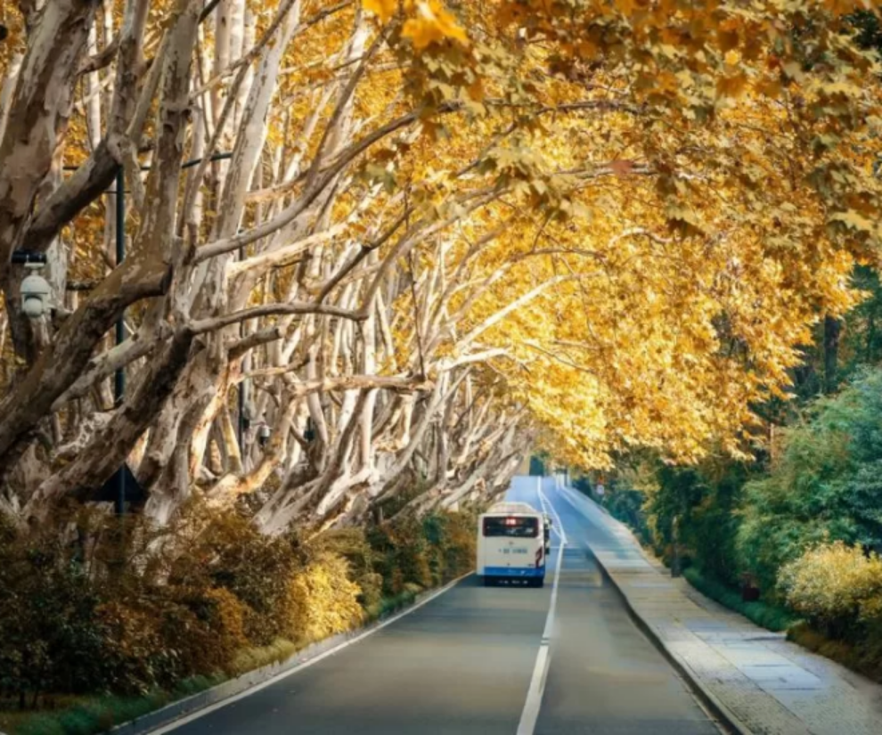 Trắc nghiệm: Sau kết hôn bạn sẽ thay đổi thế nào? Điều bạn hình dung cuối con đường sẽ cho câu trả lời - 1