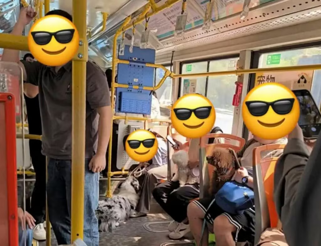 Đi xe buýt công cộng mà như quán karaoke- Ảnh 1.