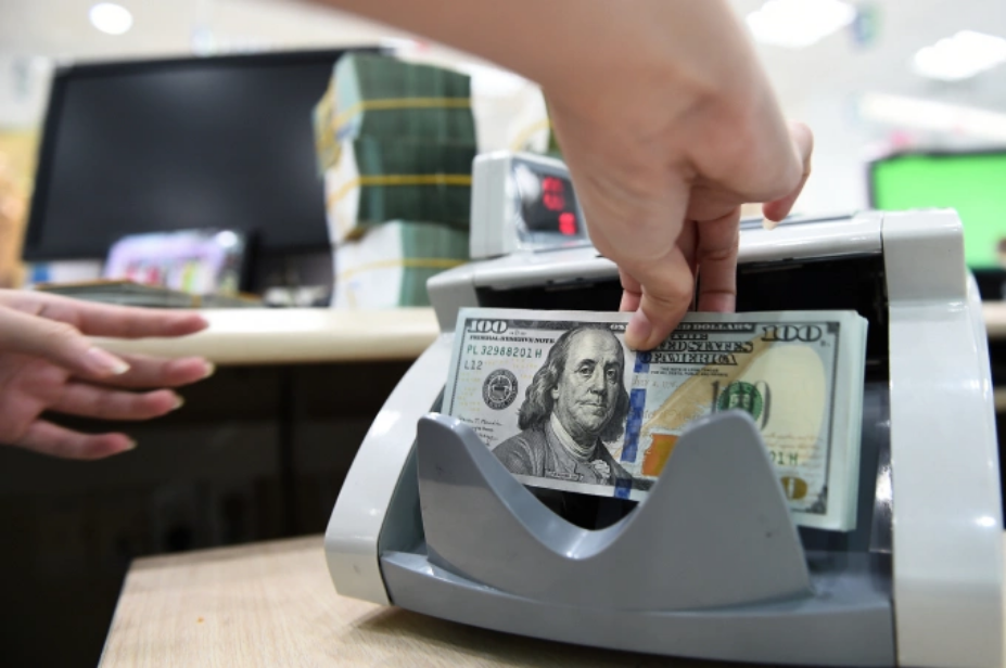 Đếm USD tại một ngân hàng ở TP HCM vào ngày 14/11/2022. Ảnh: Thanh Tùng