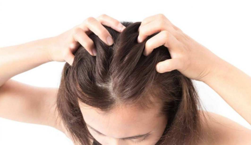 Massage vài phút mỗi ngày giúp cải thiện lưu thông máu đến da đầu.