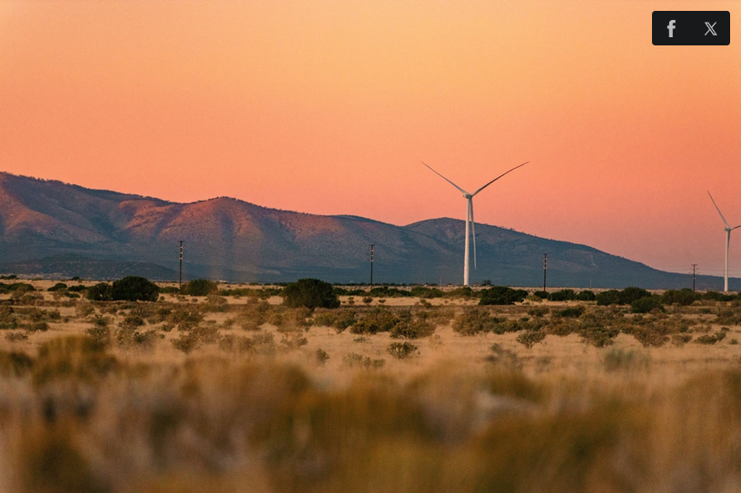 Một phần trang trại điện gió SunZia, bang New Mexico, ngày 18/6. Ảnh: Reuters